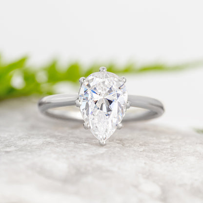LP006