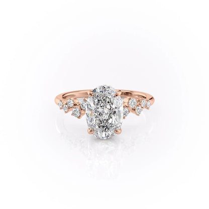 FLM081
