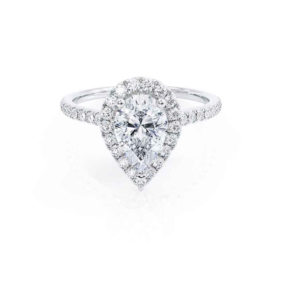 LAW362