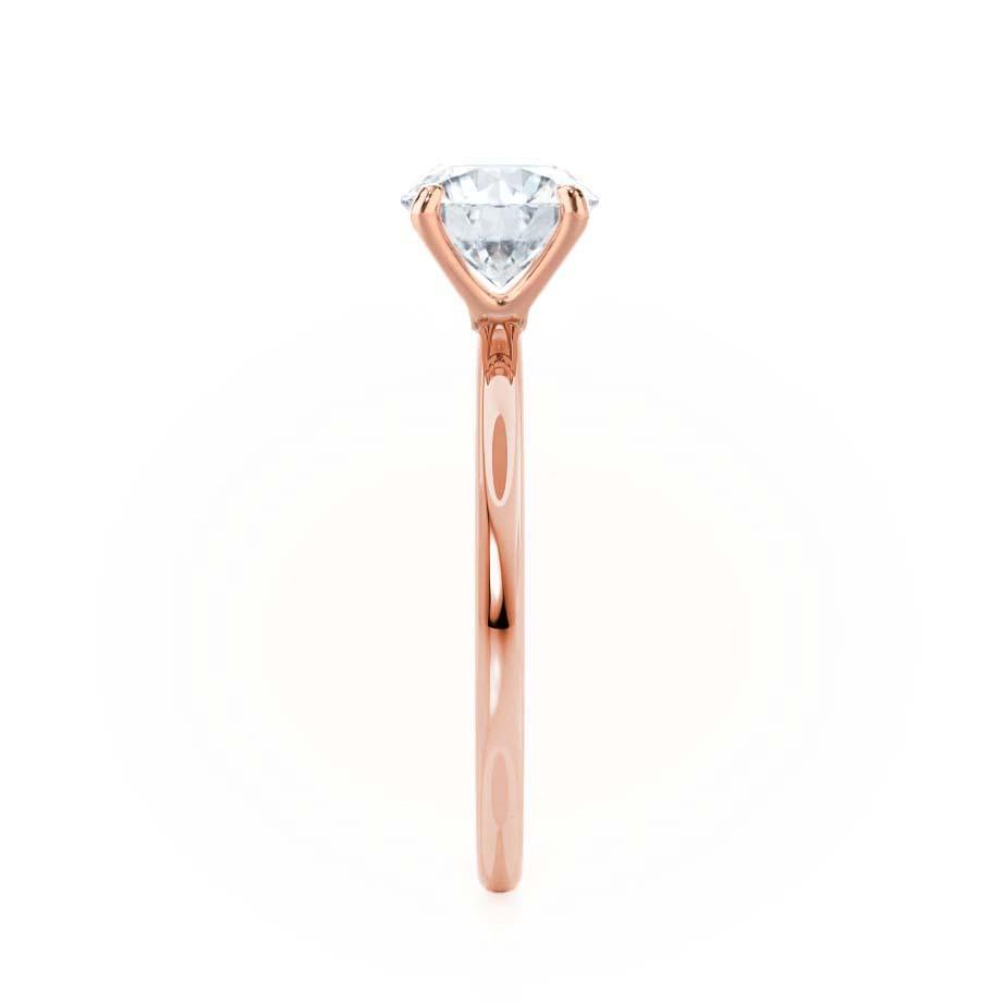 LAW264