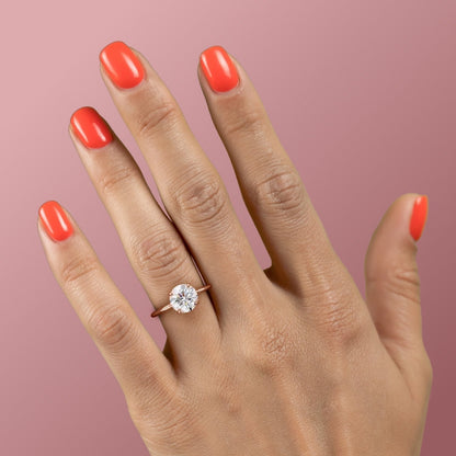 FLM161