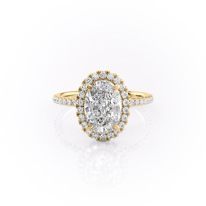 FLM065